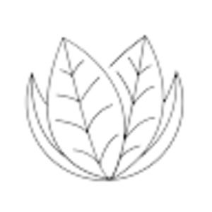 Meet your Posher, Sasha